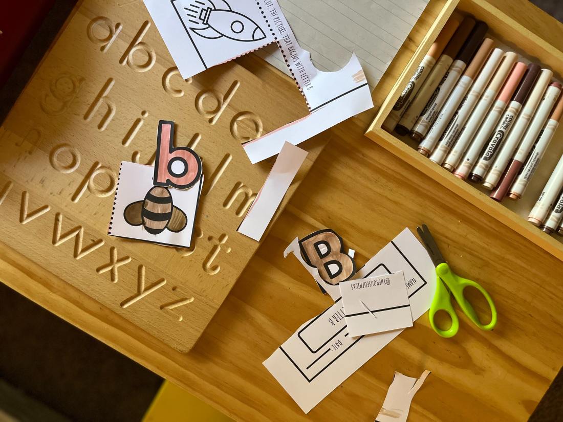 missing image of shiksha